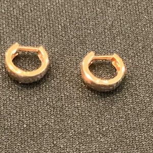 10K Rose Gold Huggy Earrings